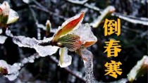 大雪不冻惊蛰不开什么意思?大雪不冻惊蛰不开什么意思呀!