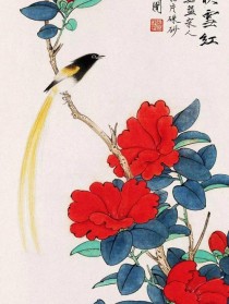 于非闇花卉?于非闇花卉中国画!