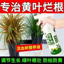 花卉烂根专用?花卉烂根专用液!