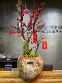 花卉盆栽园艺之家?花卉盆栽园艺之家图片!