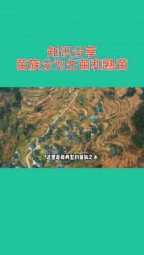 生苗和熟苗的区别?生苗和熟苗的区别 苗族!