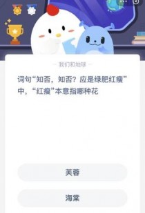 应是绿肥红瘦的红瘦是什么花?应是绿肥红瘦的红瘦是什么花蚂蚁庄园!