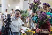 昆明花卉直播基地?昆明花卉直播基地在哪里!