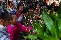 铭花卉市场?华明花卉市场!