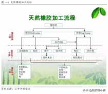 橡胶产地?橡胶产地主要是哪里!