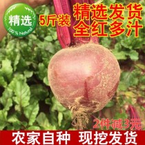 甜菜根哪里有卖?甜菜根哪里有卖的!