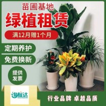 植物花卉租赁养护?植物花卉出租租赁!