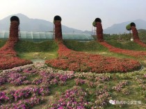 花卉小镇长安?花卉小镇好玩吗!