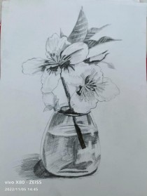 花卉结构素描静物?花卉结构素描静物图片!