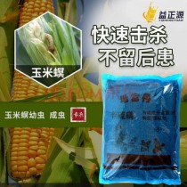 玉米地下害虫?玉米地下害虫用什么农药!