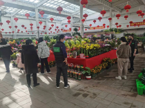 赤峰红山花卉?赤峰红山花卉市场营业时间!