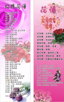 玫瑰花含义?玫瑰花含义和朵数大全!