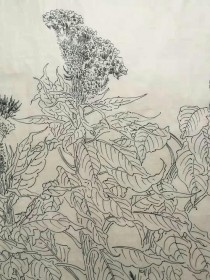 线描花卉长卷?线描花卉长卷图片!