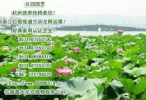 花卉租凭公司招聘?花卉租赁公司在哪里?!