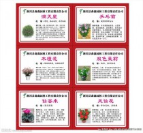 花卉企业产品介绍?花卉企业产品介绍文案!