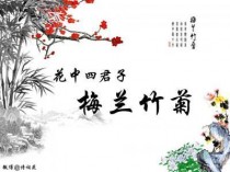 花中四君子指的是?花中四君子指的是什么意思!