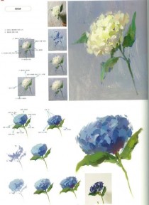 水粉写生花卉要点?水粉写生花卉要点有哪些!