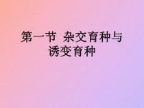 杂交育种与诱变育种?杂交育种与诱变育种教案!