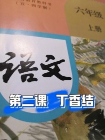 丁香结?丁香结课堂笔记!