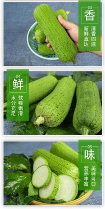 丝瓜图片?丝瓜图片大全大图 蔬菜!