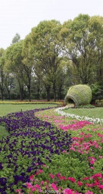 花卉造景方案?花卉造景方案设计!