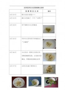 绿豆芽观察记录表7天?绿豆芽观察记录表7天怎么写!