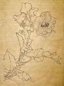 白描花卉名家?白描花卉名家作品欣赏!