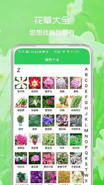 网上购买花卉大全?网上购买花卉大全app!