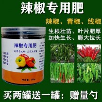 辣椒用什么肥料?辣椒用什么肥料长得又肥又壮!