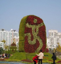 广场花卉造型图片?广场花卉造型图片大全!