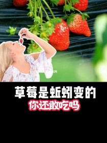 草莓是蚯蚓变得吗?草莓是蚯蚓变得吗?!