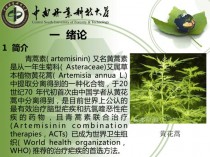 青蒿素是什么植物提取的?青蒿素是什么植物提取的蚂蚁庄园!