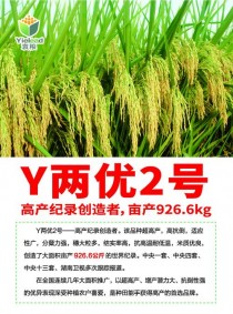 y两优2号?Y两优2号价格!