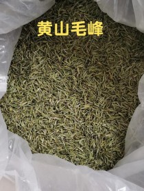 黄山毛峰茶?黄山毛峰茶是什么茶!