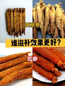 红参与高丽参的区别?红参与高丽参的区别图片!