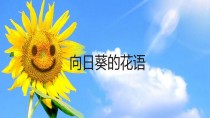 向日葵花语是什么意思?向日葵花语是什么意思入目无他人!