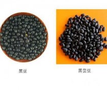 黑豆与黑芸豆的区别?黑豆与黑芸豆的区别?!