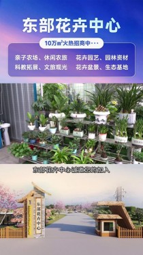 花卉入住什么平台?!