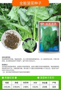 菠菜籽?菠菜籽长什么样子图片!