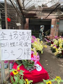 广州芳村花卉价格?广州芳村花卉价格表!