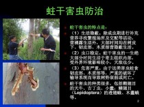 害虫防治?害虫防治的主要措施!