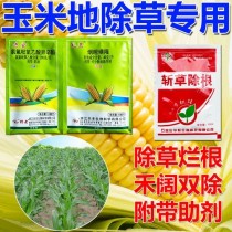 玉米田除草剂?玉米田除草剂有哪些!