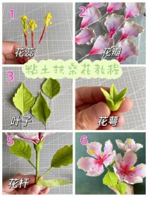 粘土教程视频花卉?粘土教程视频花卉图片!