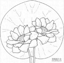 过年花卉画法?过年花卉画法图片!