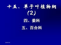 单子叶植物有哪些?单子叶植物有哪些常见的!