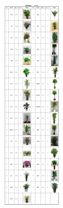 植物花卉租赁报价?植物花卉租赁报价明细表!