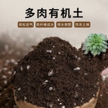 多肉植物种植土?多肉植物种植土怎么配!