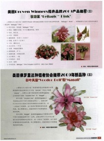 美国花卉品牌?美国花卉品牌排行榜!