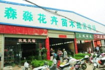 花卉批发店铺?花卉批发店铺名字招财!