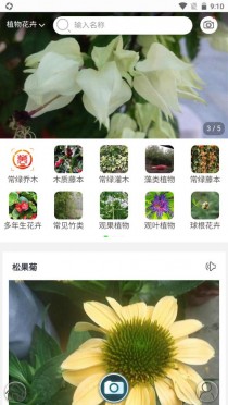 花卉识别app下载?花卉识别app下载!